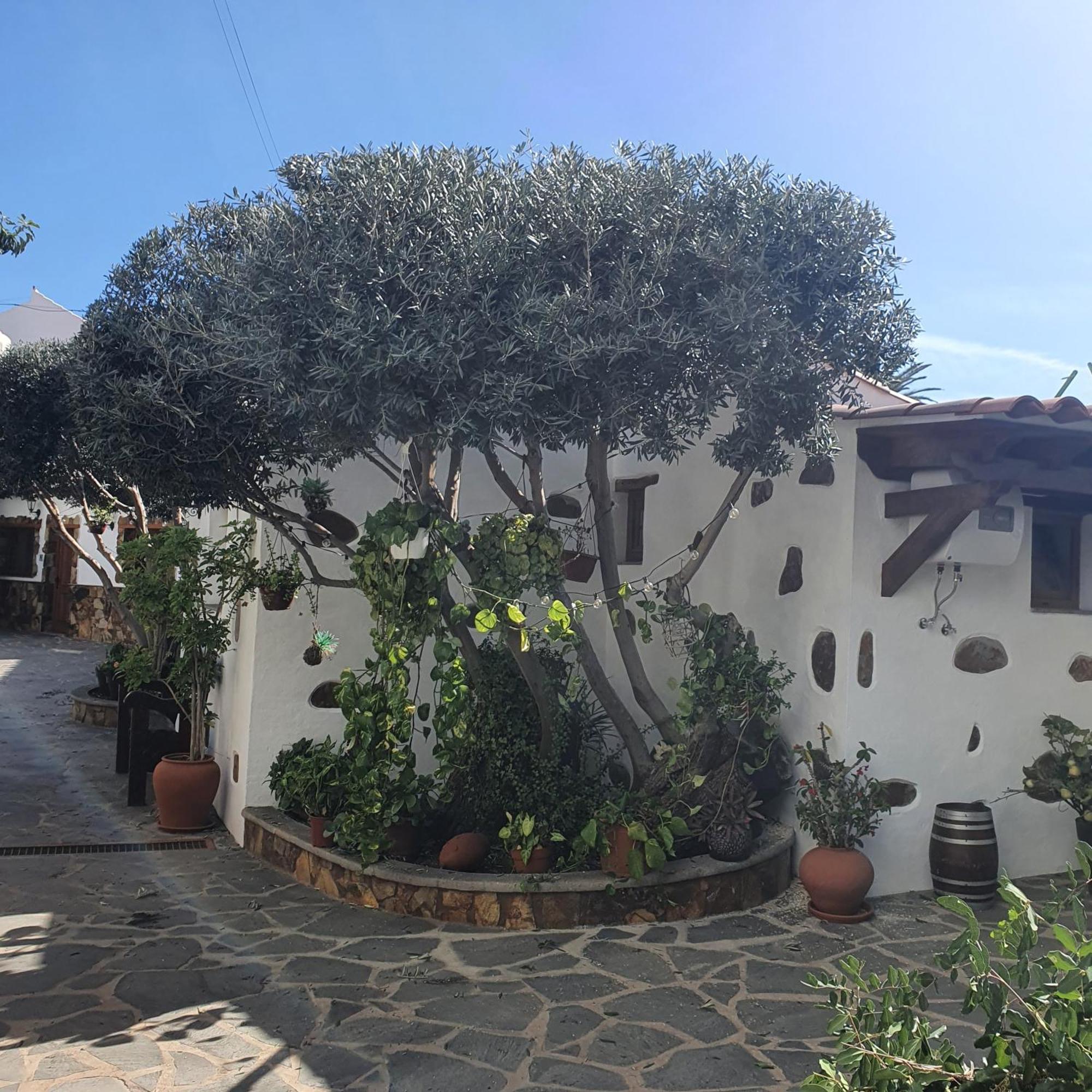 La Gallania De Papa Pepe Santa Lucia De Tirajana Luaran gambar